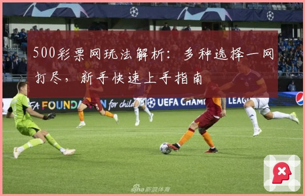 500彩票网玩法解析：多种选择一网打尽，新手快速上手指南