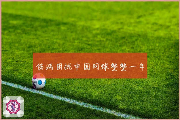 伤病困扰中国网球整整一年